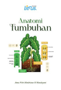 Image of Anatomi Tumbuhan