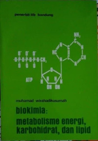 Image of Biokimia : Metabolisme Energi, Karbohidrat, dan Lipid
