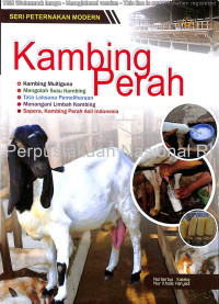 Image of Kambing Perah