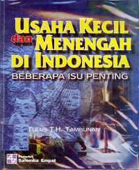 Image of Usaha Kecil dan Menengah di Indonesia (Beberapa Isu Penting)